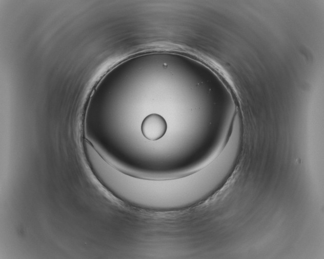 X0000112961381200909101624