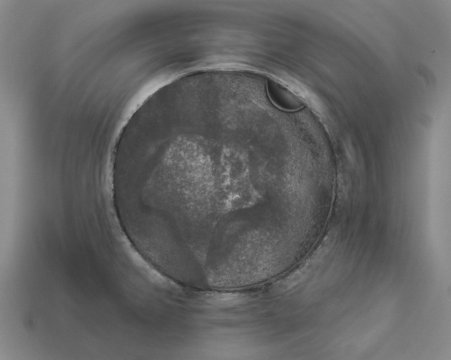 X0000112961382200909101624