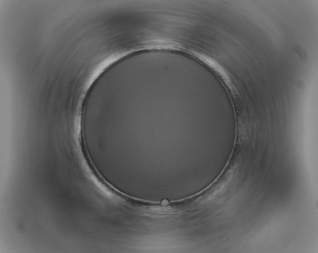 X0000112961383200909101624