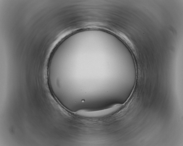 X0000112961384200909101624