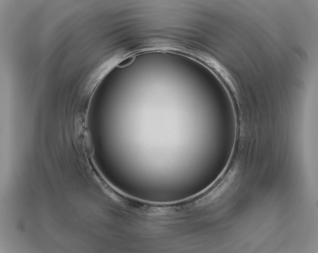 X0000112961385200909101624