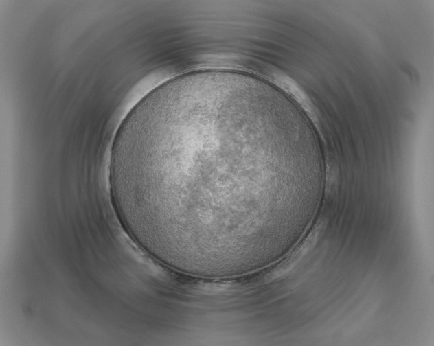 X0000112961386200909101624