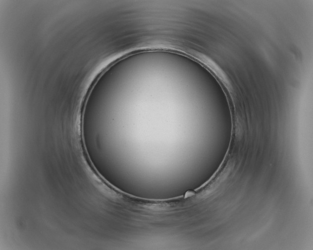 X0000112961388200909101624