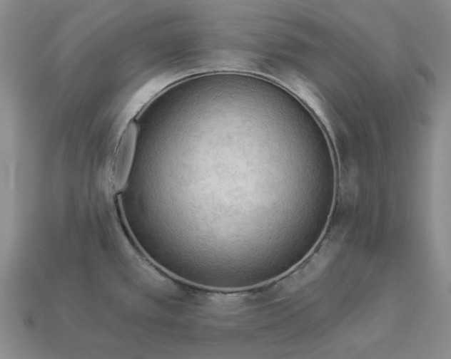 X0000112961389200909101624