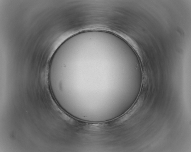 X0000112961390200909101624