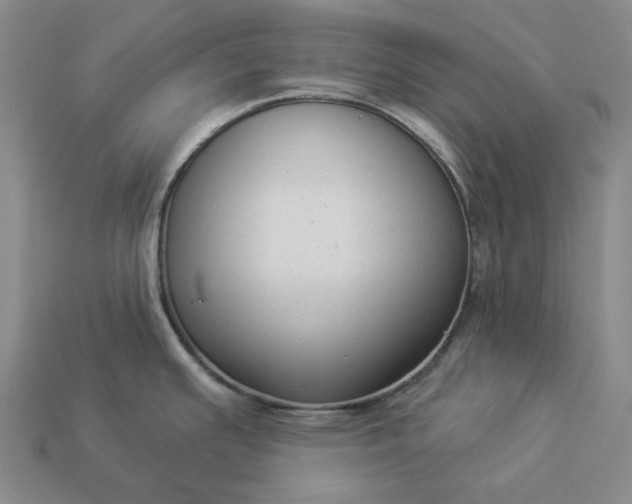 X0000112961391200909101624