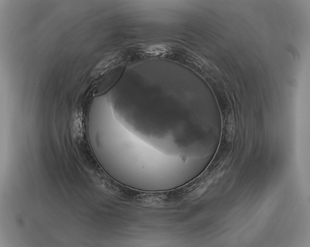 X0000112961394200909101623