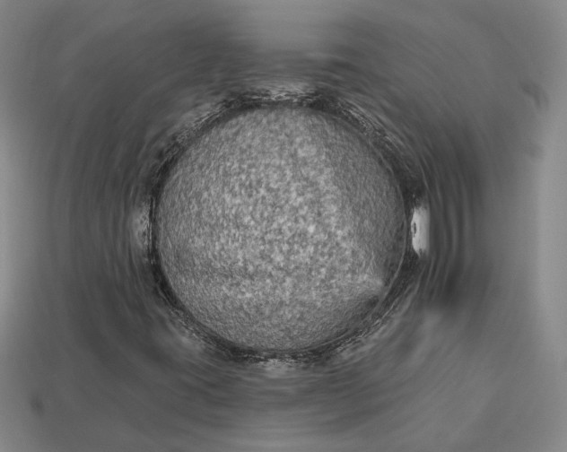 X0000112961395200909101623