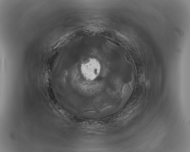 X0000112961397200909101623