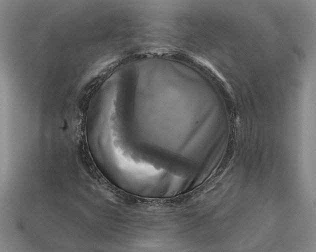 X0000112961399200909101623