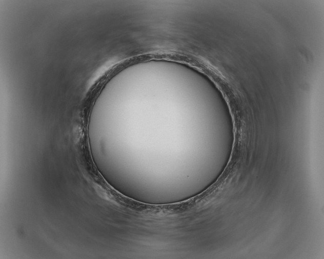 X0000112961400200909101623