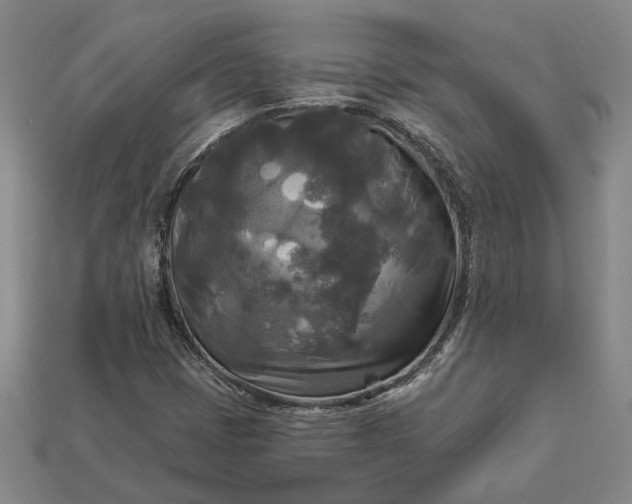 X0000112961401200909101623