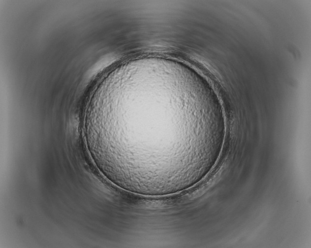 X0000112961402200909101623