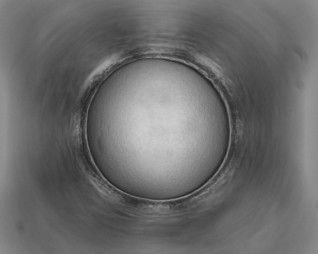 X0000112961403200909101623