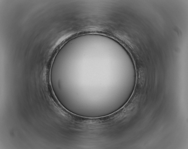 X0000112961404200909101623