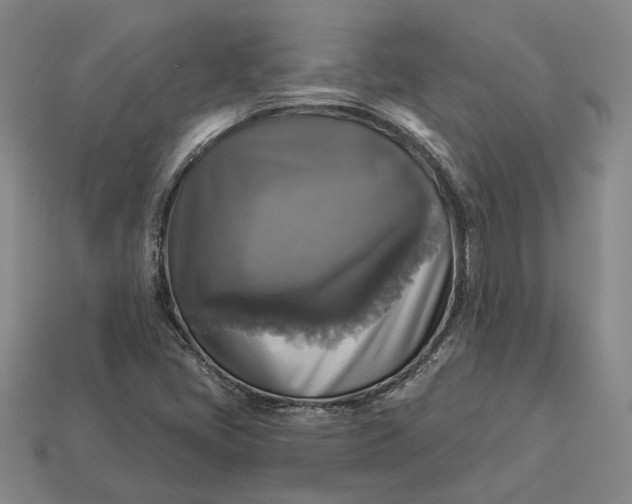 X0000112961405200909101623