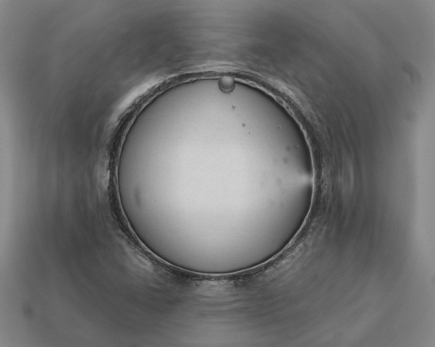 X0000112961406200909101623