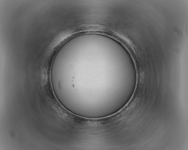 X0000112961407200909101623