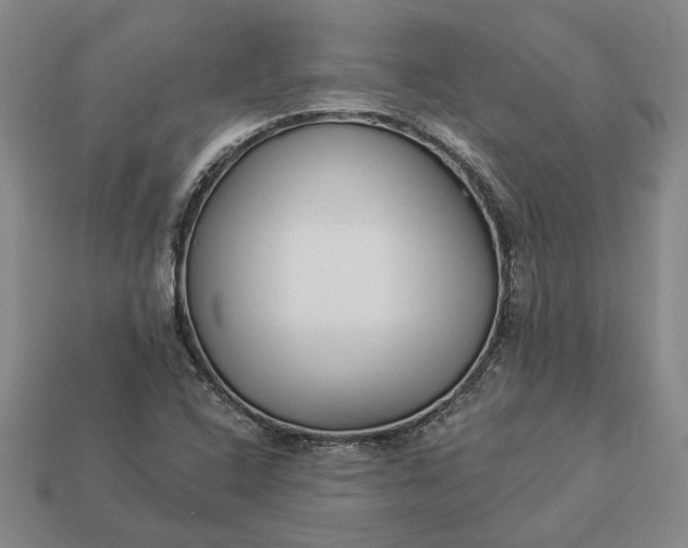 X0000112961408200909101623