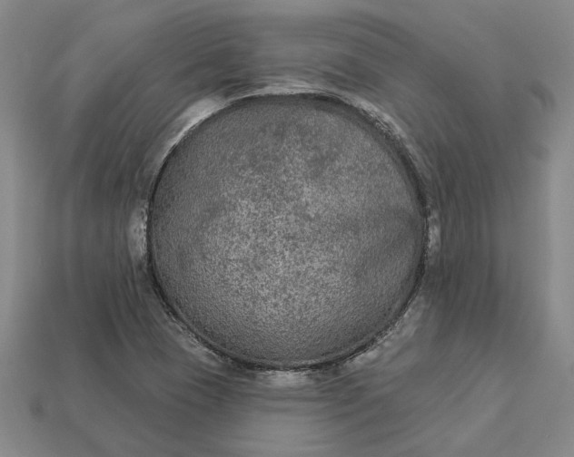 X0000112961409200909101623