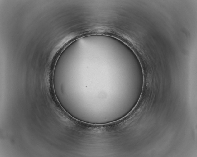 X0000112961410200909101623