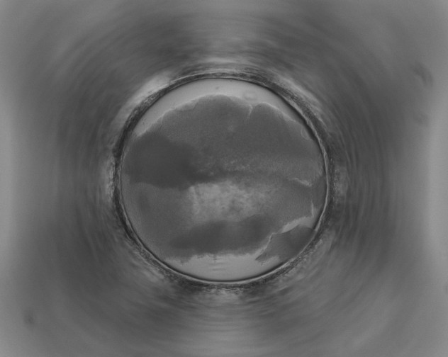 X0000112961411200909101623