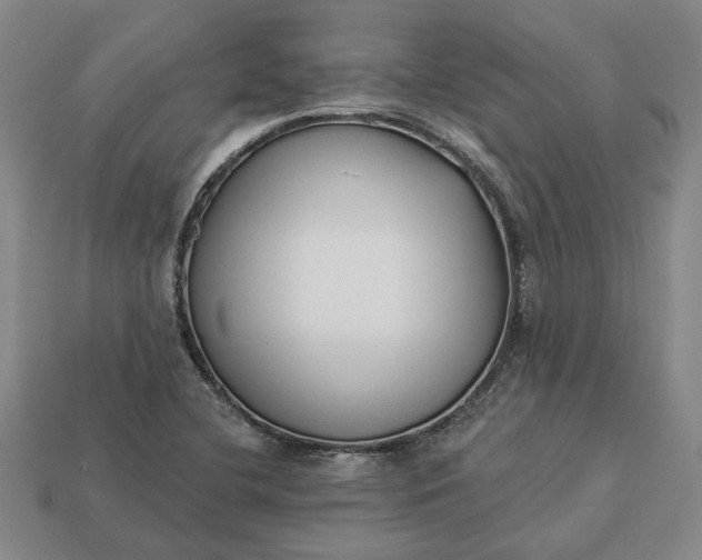 X0000112961412200909101623