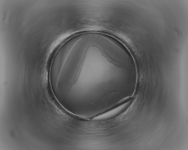 X0000112961414200909101623