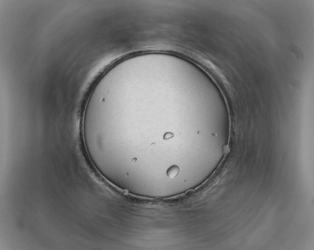 X0000112961416200909101623