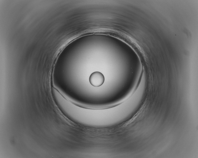 X0000112961417200909101623