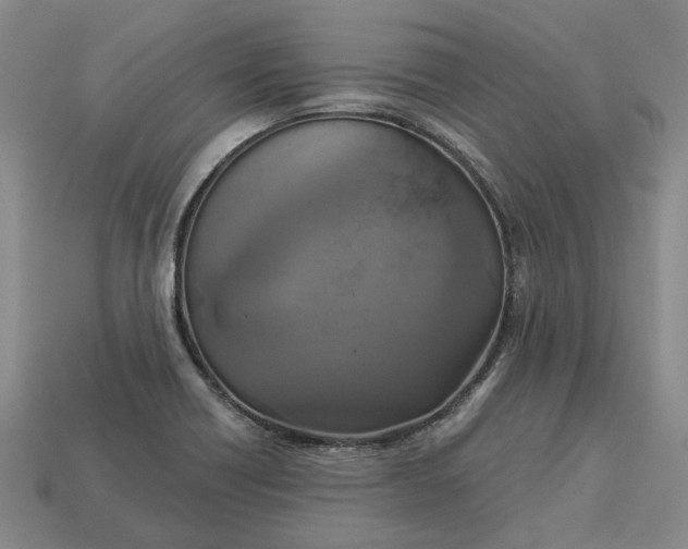 X0000112961418200909101623