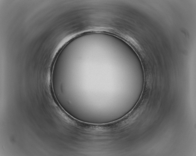 X0000112961420200909101623