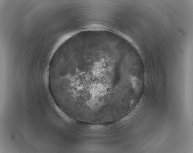 X0000112961421200909101623