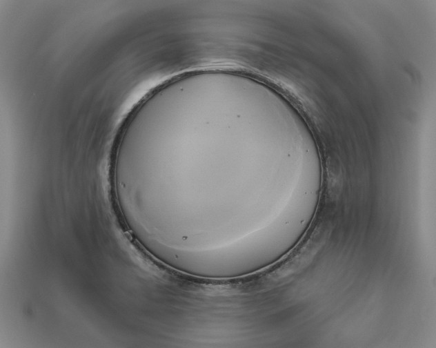 X0000112961422200909101623