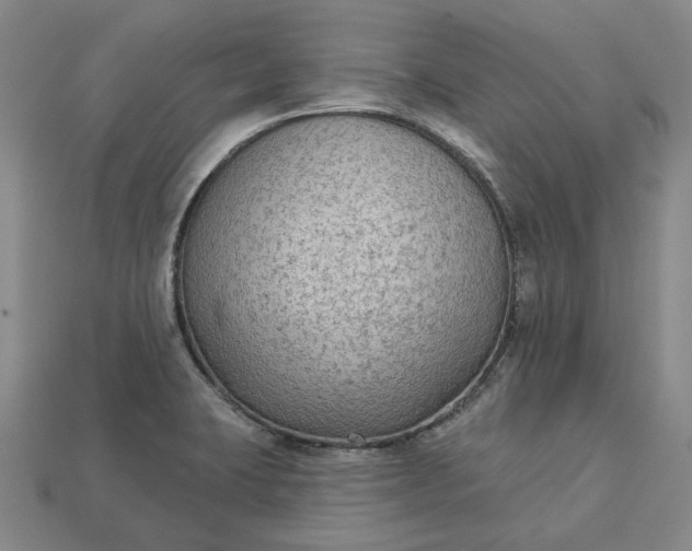 X0000112961423200909101623