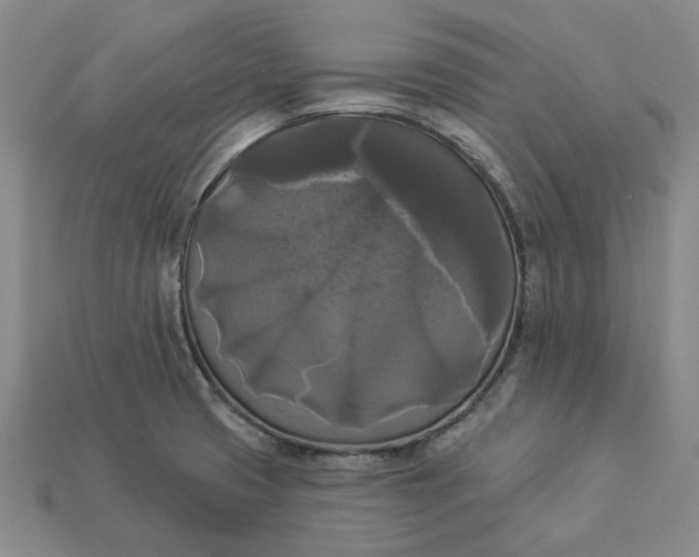 X0000112961425200909101623