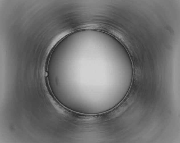 X0000112961426200909101623