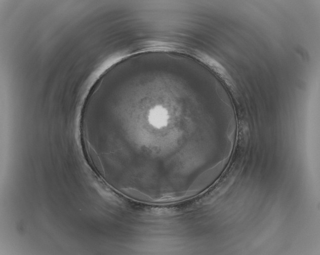 X0000112961427200909101623