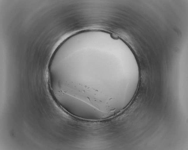 X0000112961428200909101623