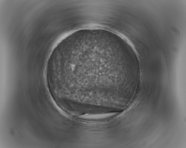 X0000112961429200909101623