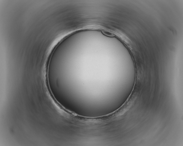 X0000112961430200909101623