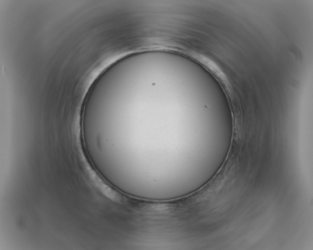 X0000112961431200909101623