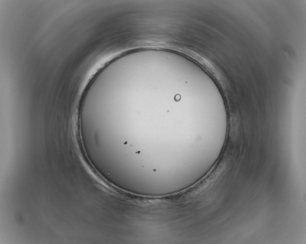 X0000112961432200909101623