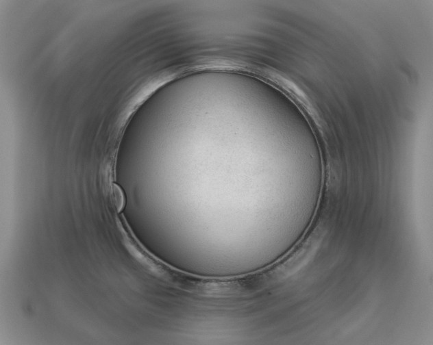 X0000112961433200909101623