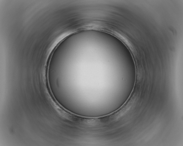 X0000112961434200909101623