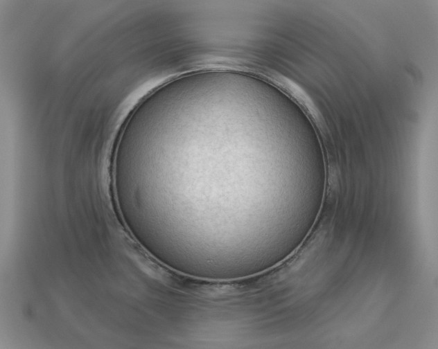 X0000112961435200909101624