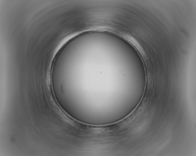 X0000112961436200909101624