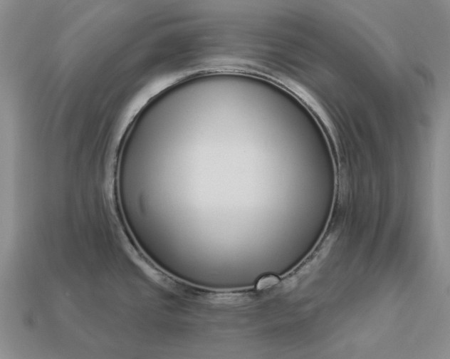 X0000112961437200909101624