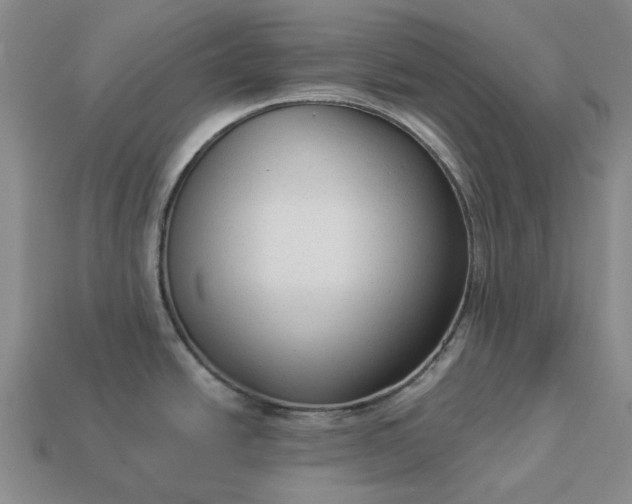 X0000112961438200909101624