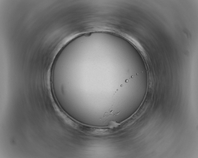 X0000112961439200909101624